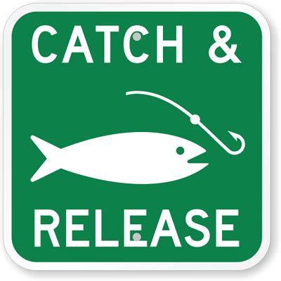 Catch Release Sportingbet