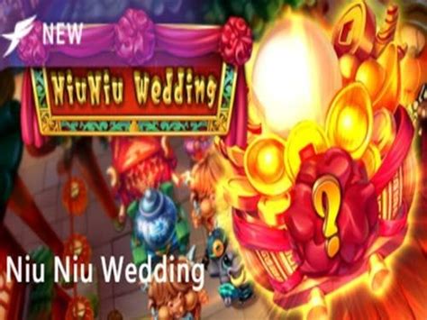 Niu Niu Wedding Betfair