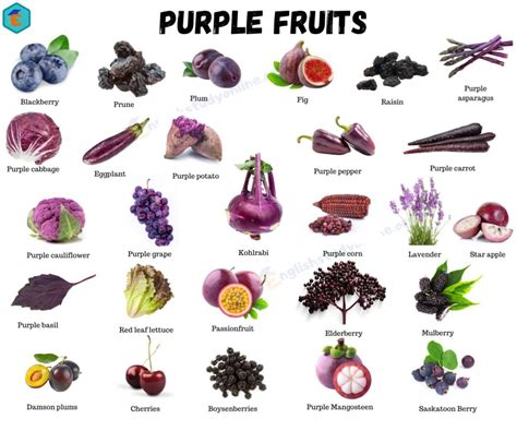 Purple Fruits Blaze
