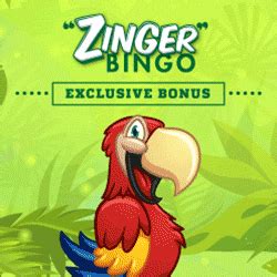 Zinger bingo casino review